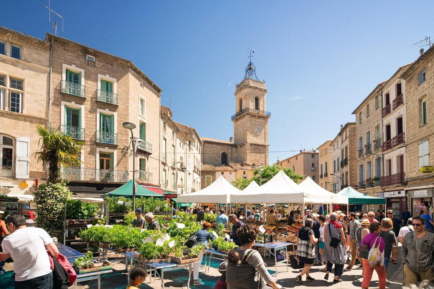 La Terrasse Du Clermontais * Clermont-lʼHérault